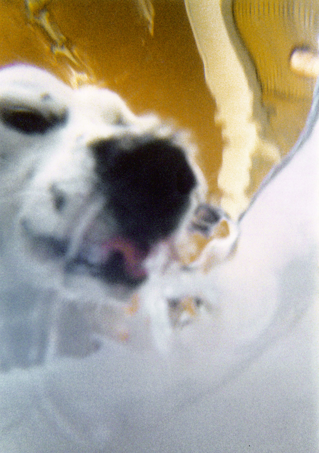 28a C-print 35 mm dimension variable 2007
