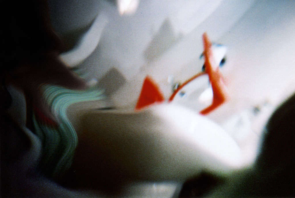 3a C-print  35 mm dimension variable 2008